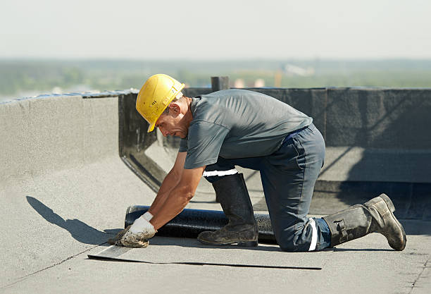 Best Crawl Space Insulation  in Langdon, ND