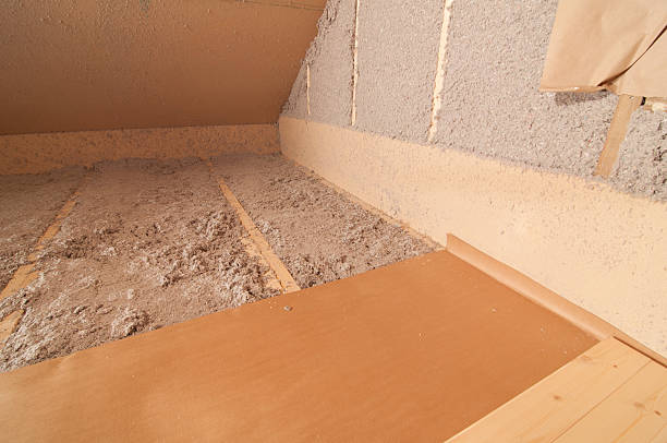 Best Attic Insulation Installation  in Langdon, ND